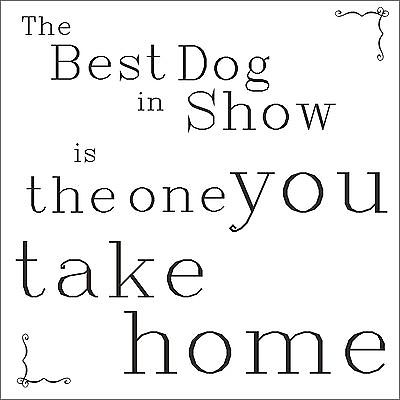 Best in show card