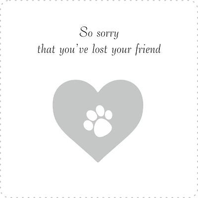 Sorry you lost your friend, sympathy card