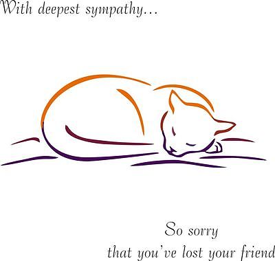 Cat sympathy card