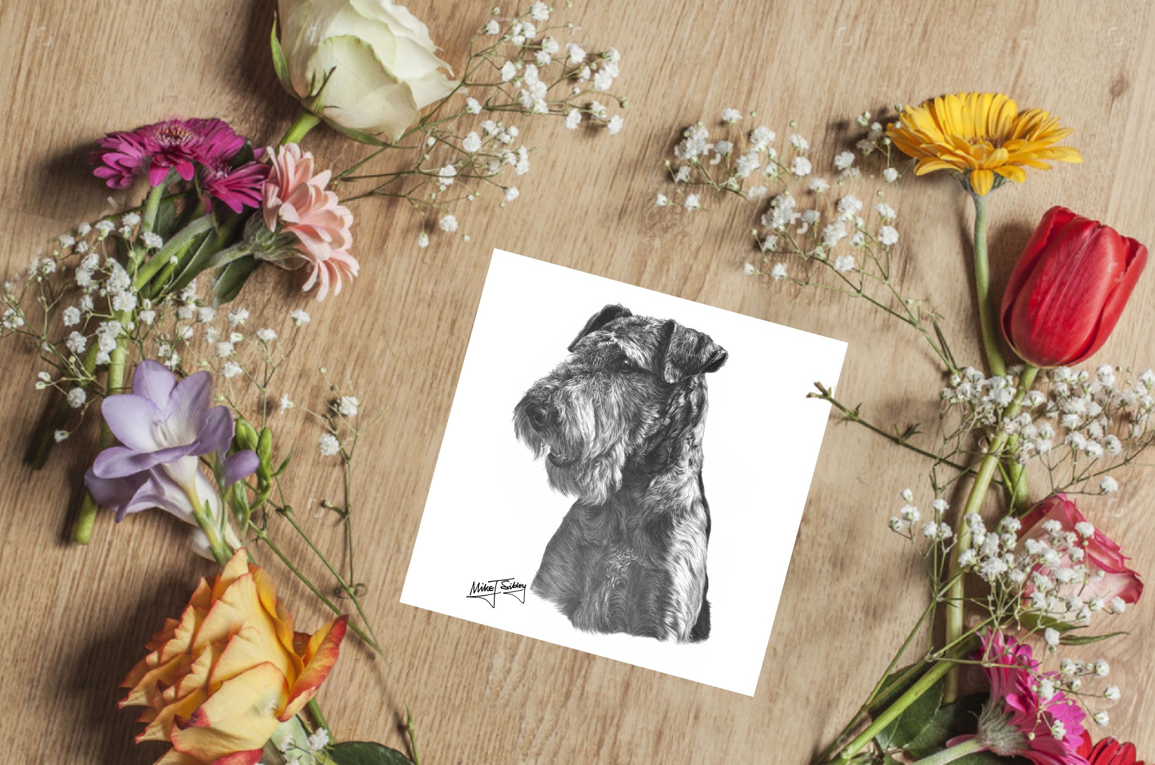 Mike Sibley Design Airedale Greeting Card