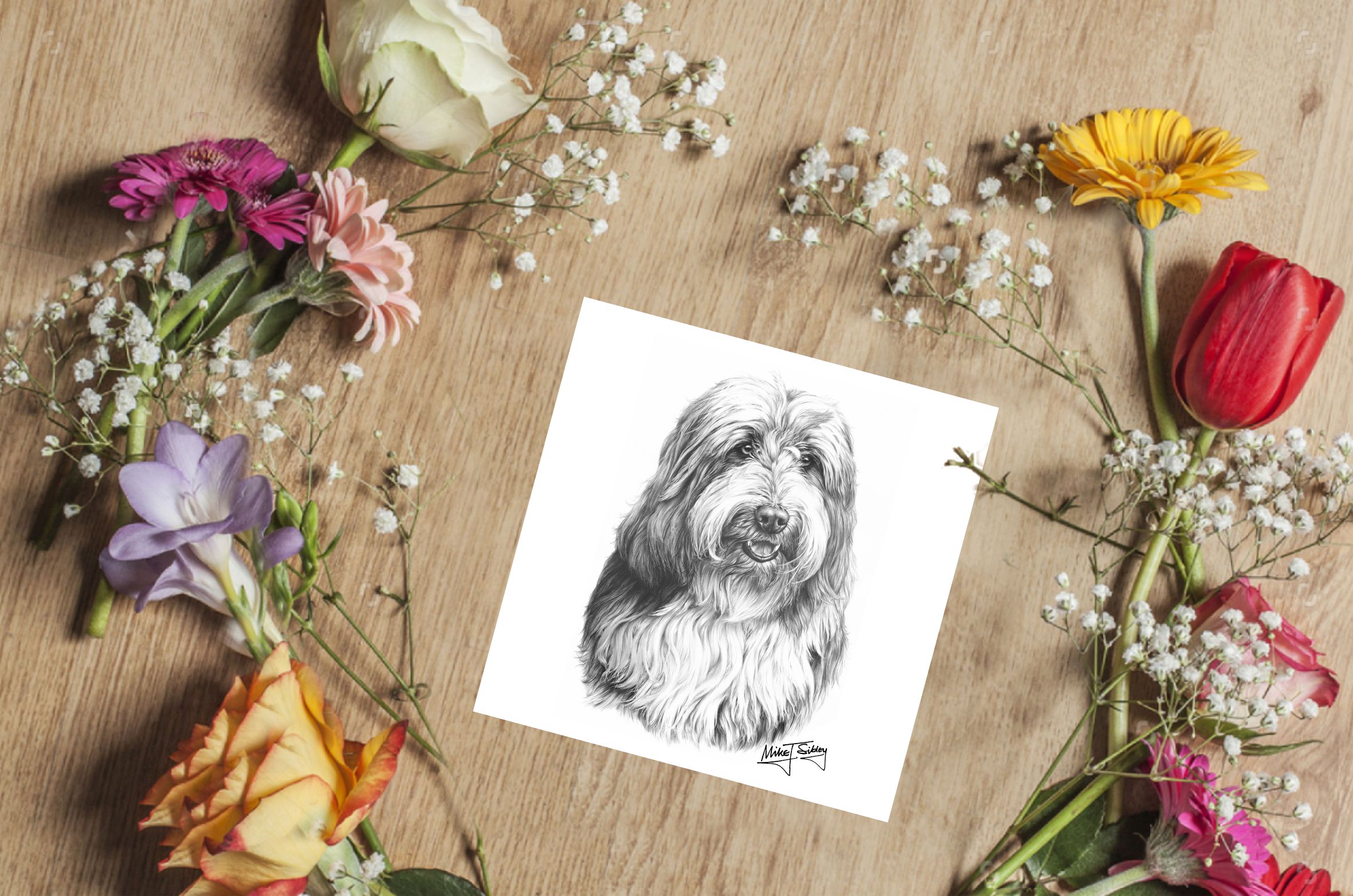 Mike Sibley Design Bearded Collie Greeting Card