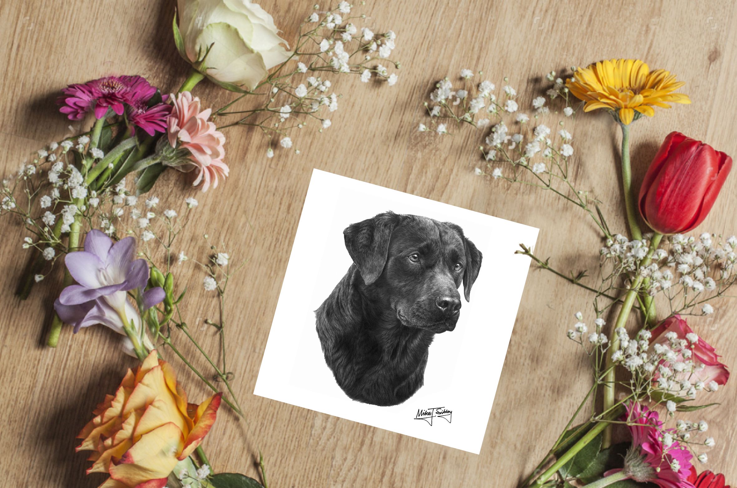 Mike Sibley Design Black Labrador Greeting Card