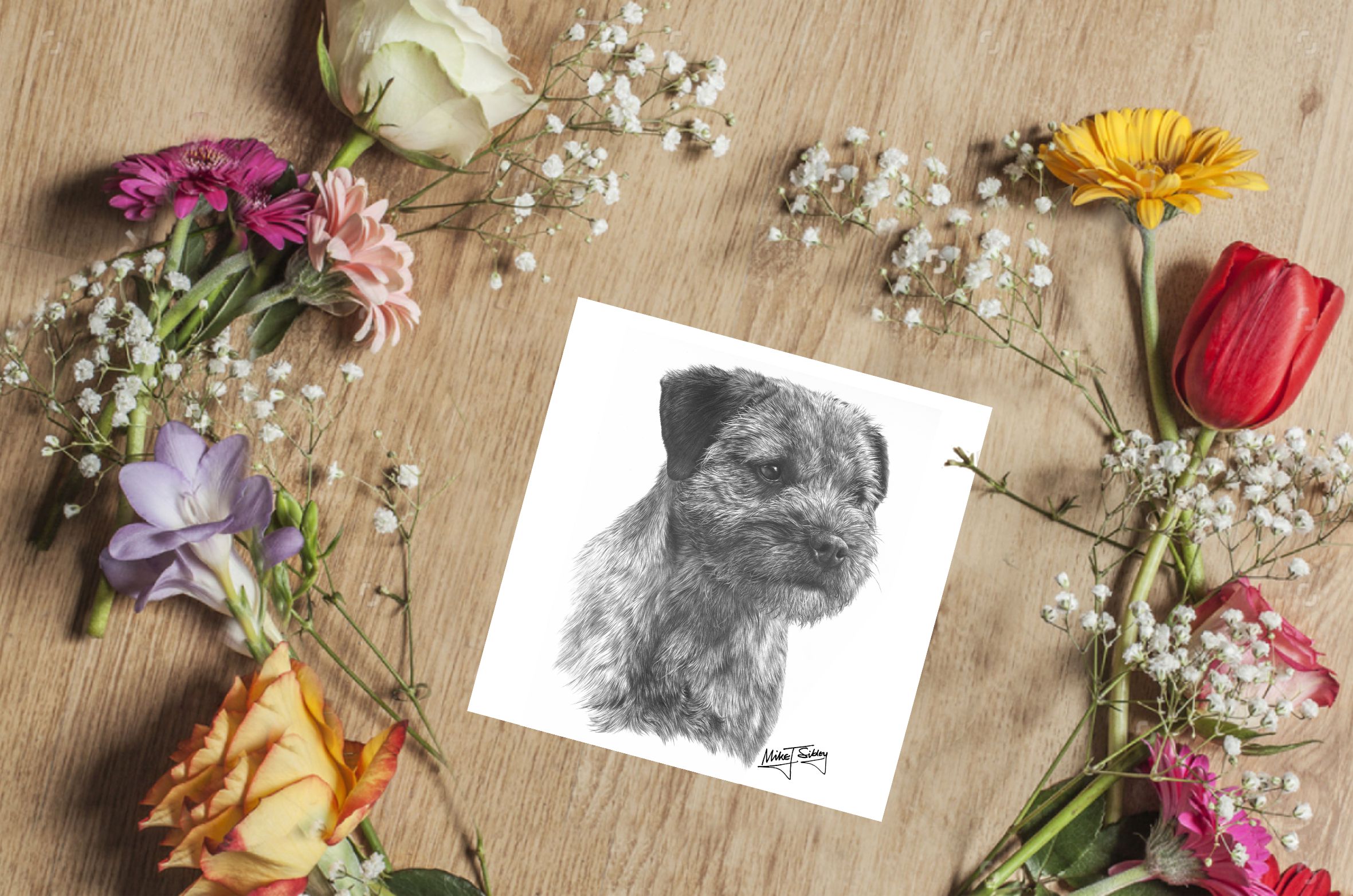 Mike Sibley Design Border Terrier Greeting Card
