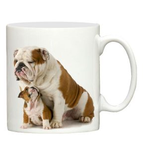 English Bulldog & puppy design ceramic mug