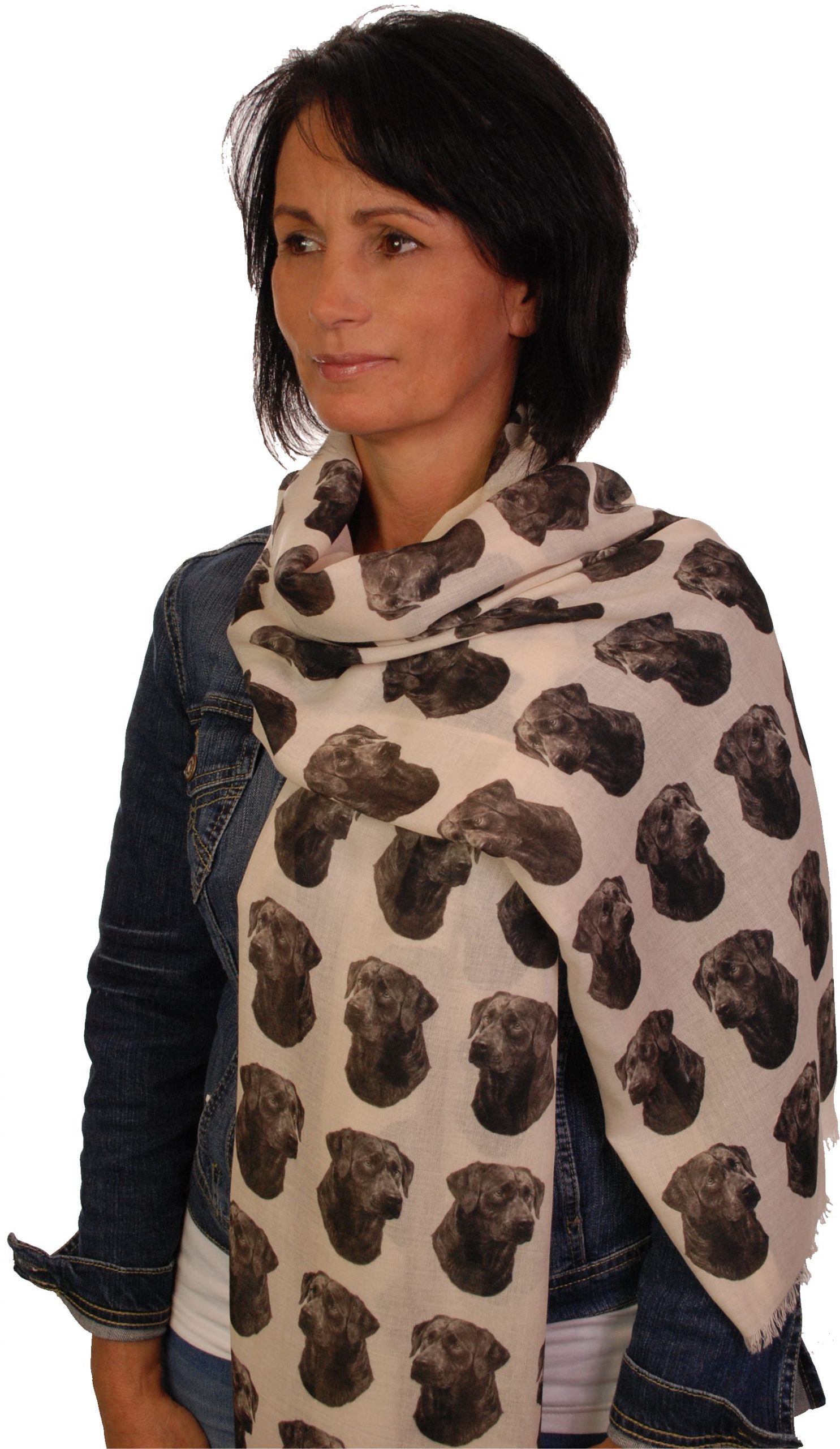 Mike Sibley Black Labrador licensed design ladies fashion scarf