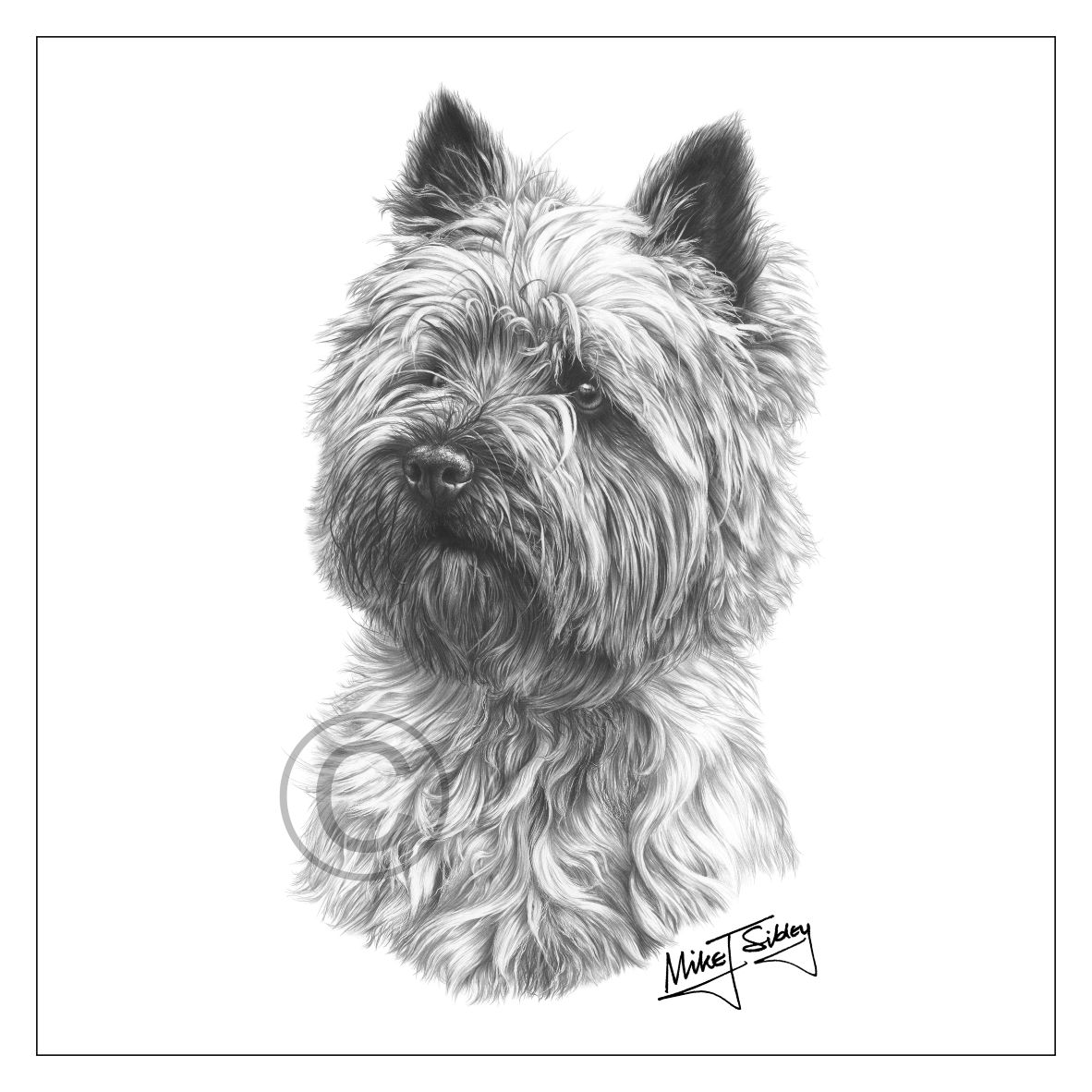 Mike Sibley Design Cairn Terrier Greeting Card
