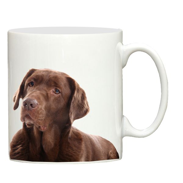 Chocolate Labrador ceramic mug