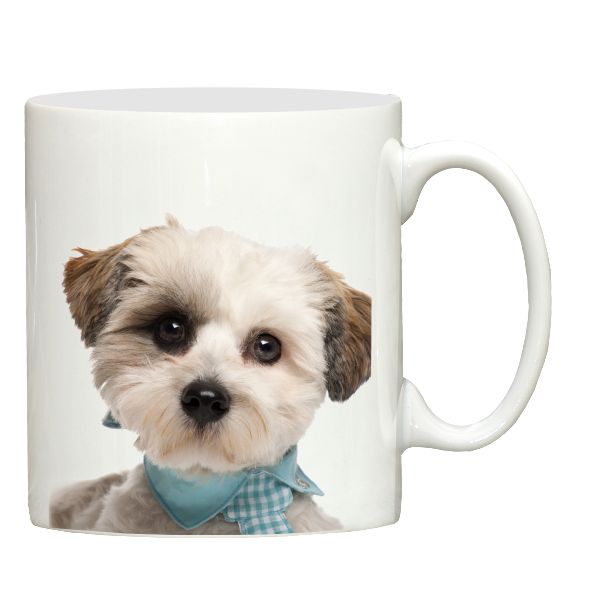 Cute Shih Tzu with scarf ceramic mug
