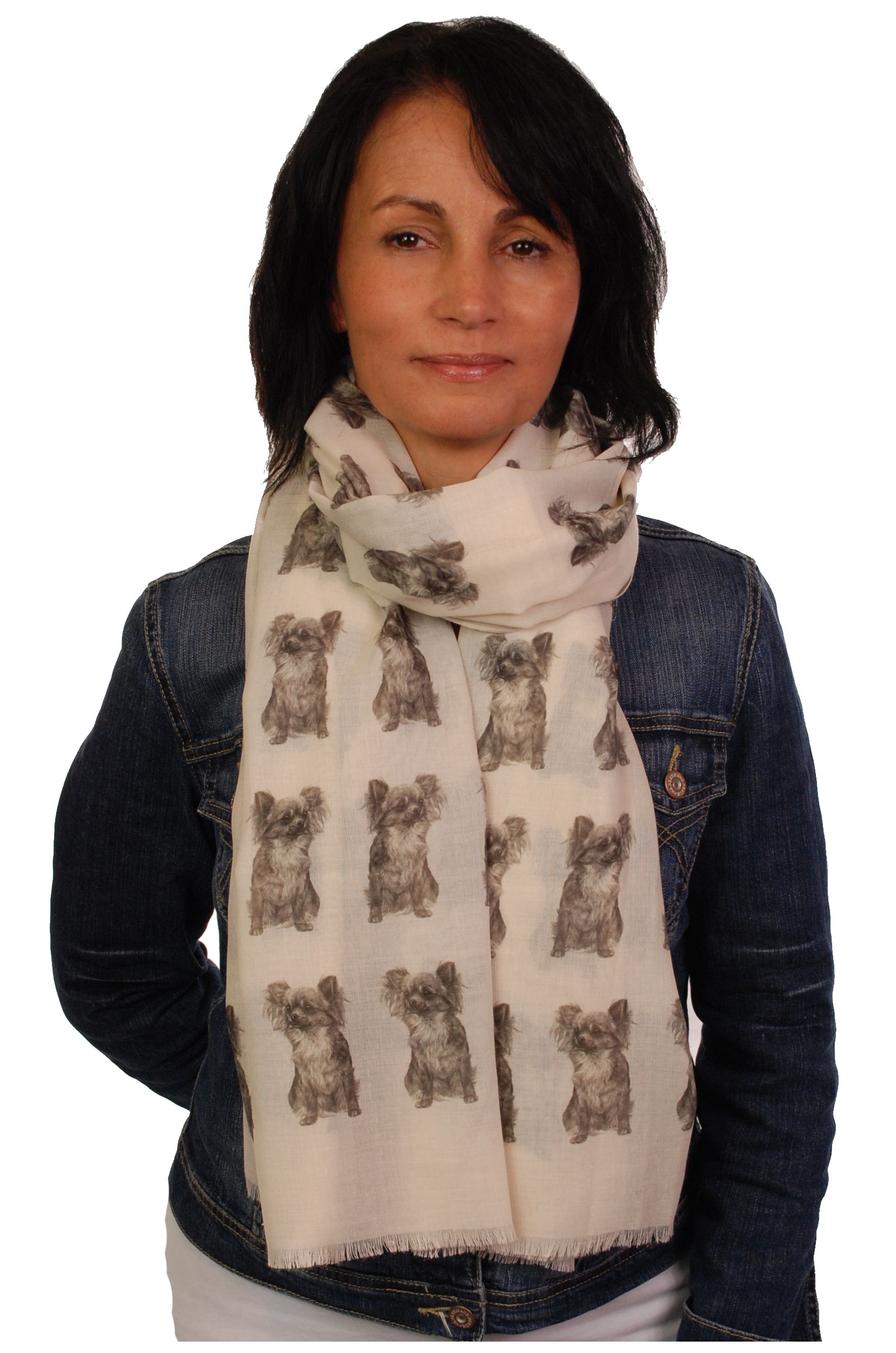 Mike Sibley Chihuahua licensed design ladies fashion scarf