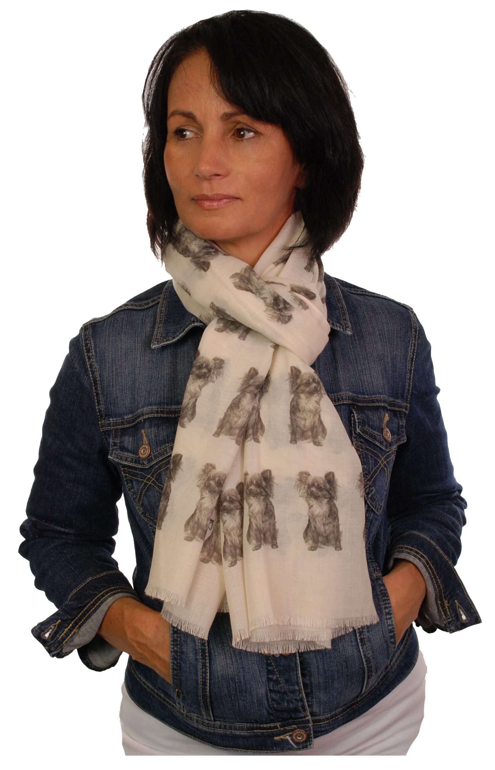 Mike Sibley Chihuahua licensed design ladies fashion scarf