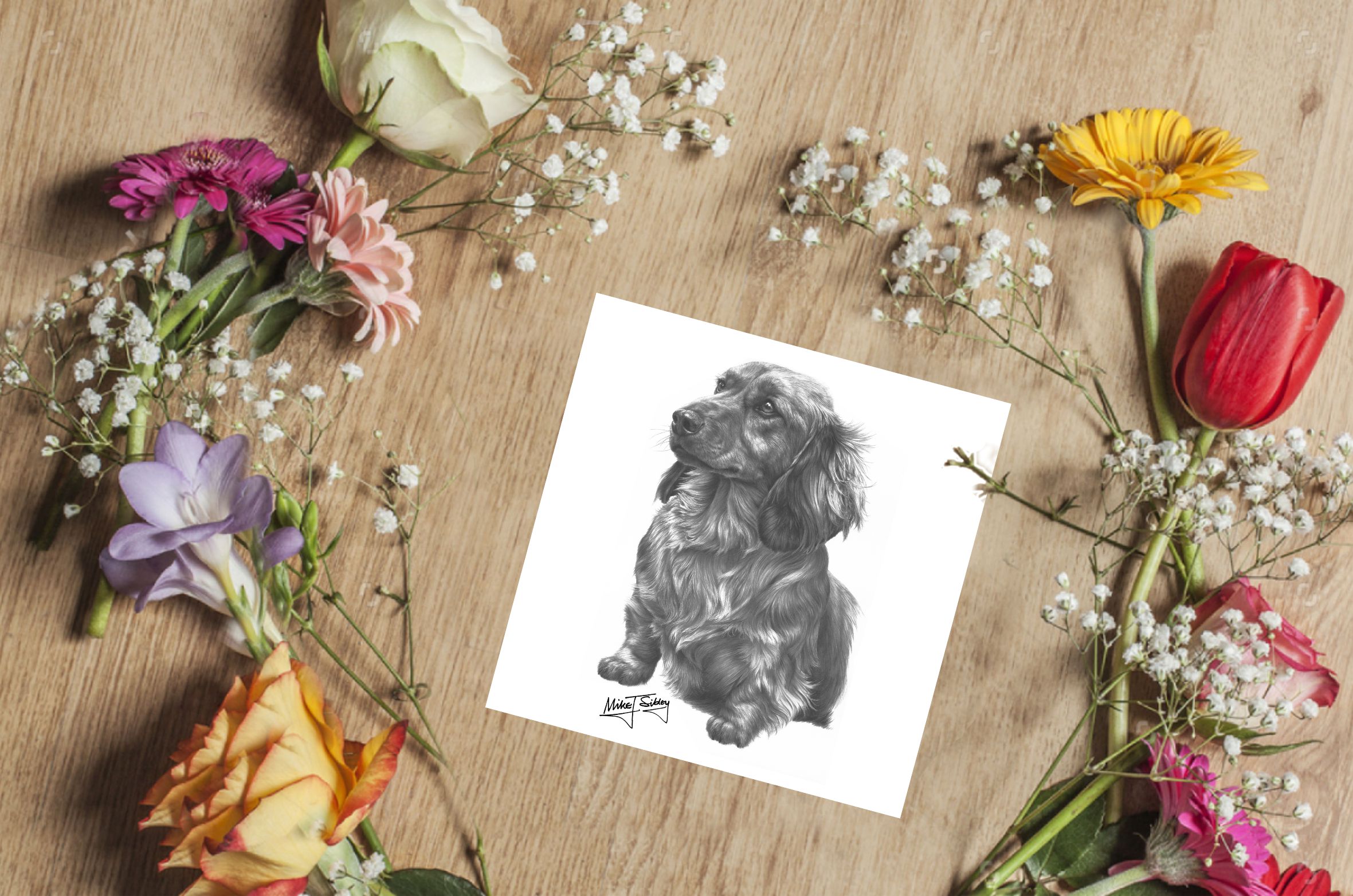Mike Sibley Design Long Haired Dachshund Greeting Card
