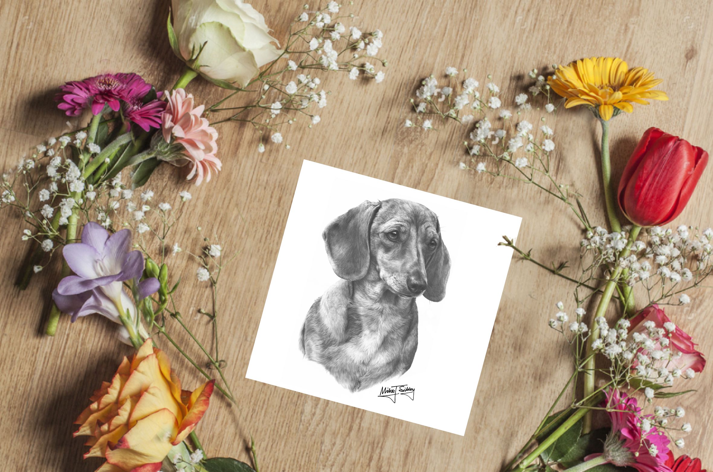 Mike Sibley Design Smooth Haired Dachshund Greeting Card