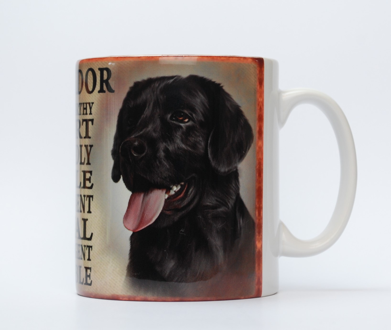 Labrador Retro Mug