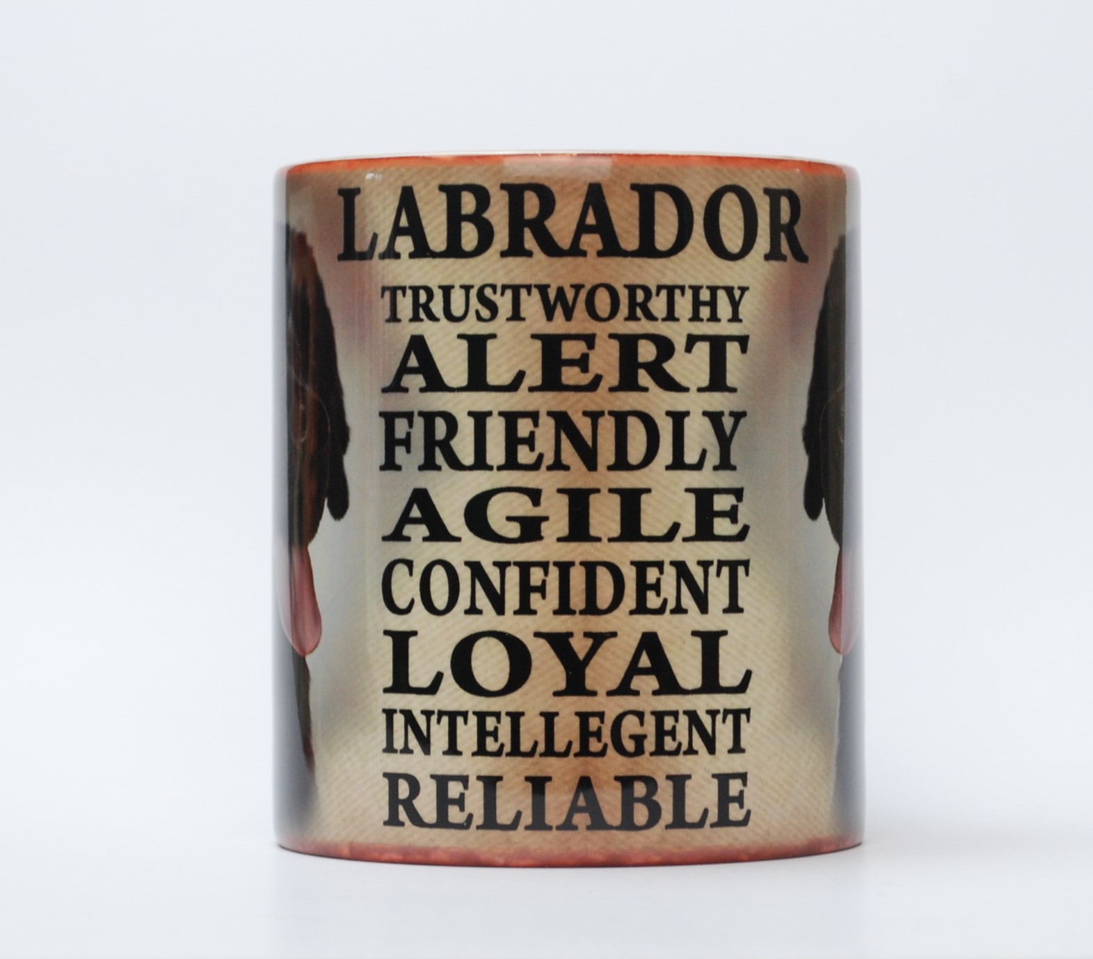 Labrador Retro Mug