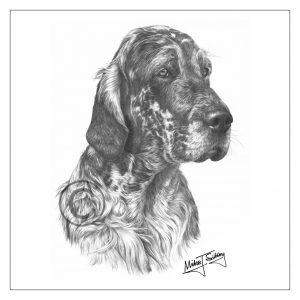 Mike Sibley Design English Setter Greeting Card