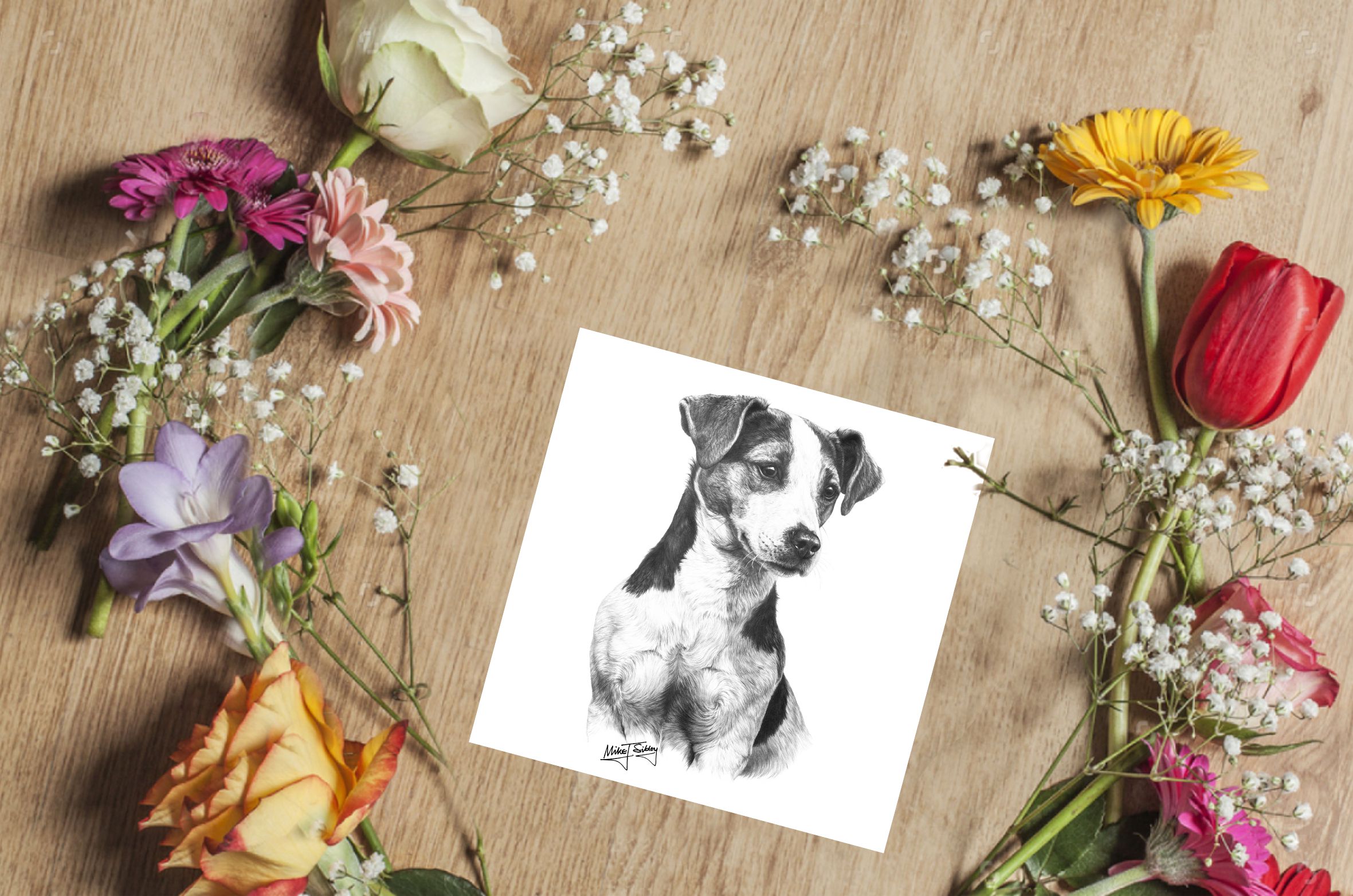Mike Sibley Design Jack Russell Greeting Card