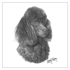 Mike Sibley Design Poodle Greeting Card