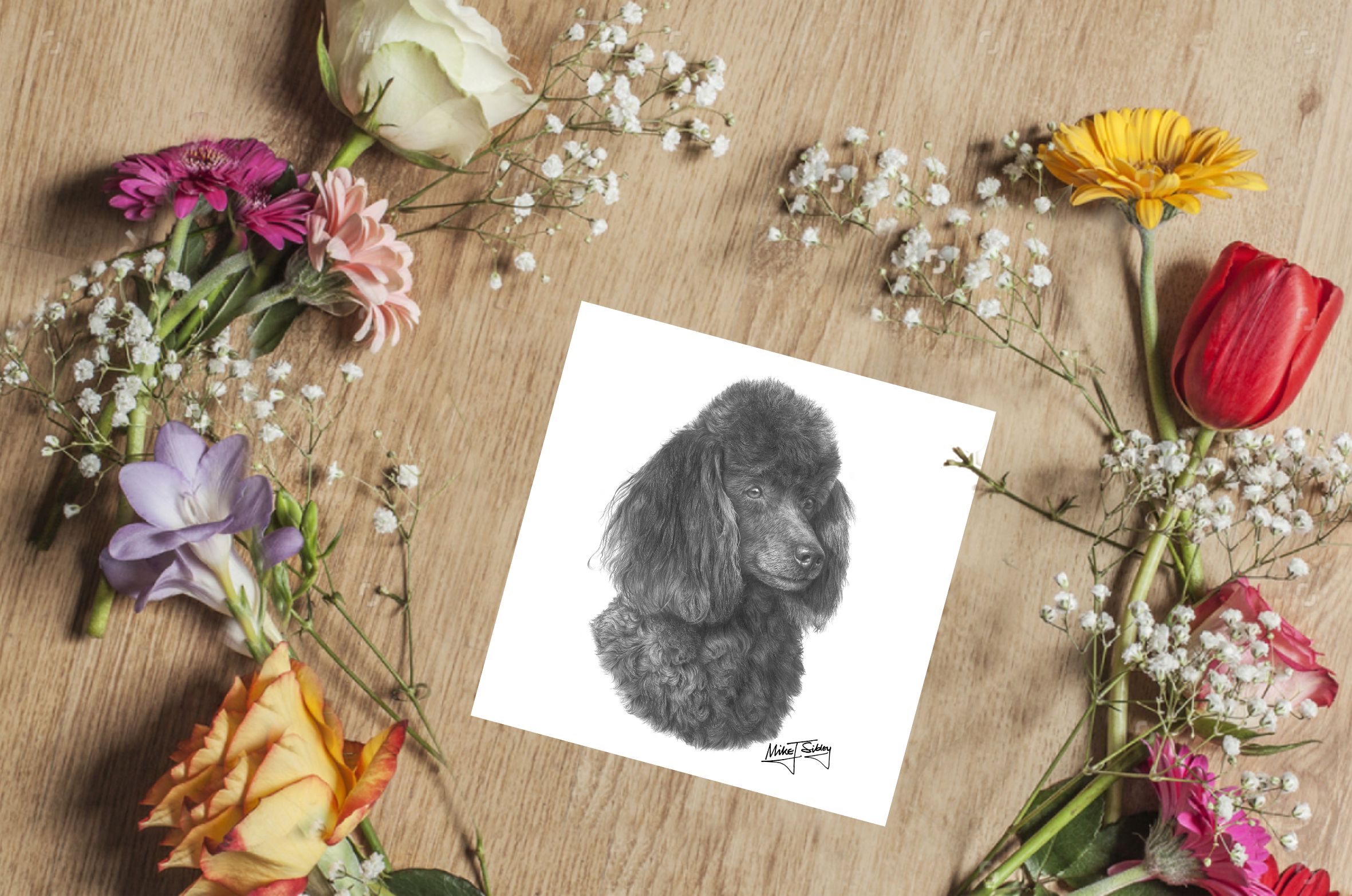 Mike Sibley Design Poodle Greeting Card