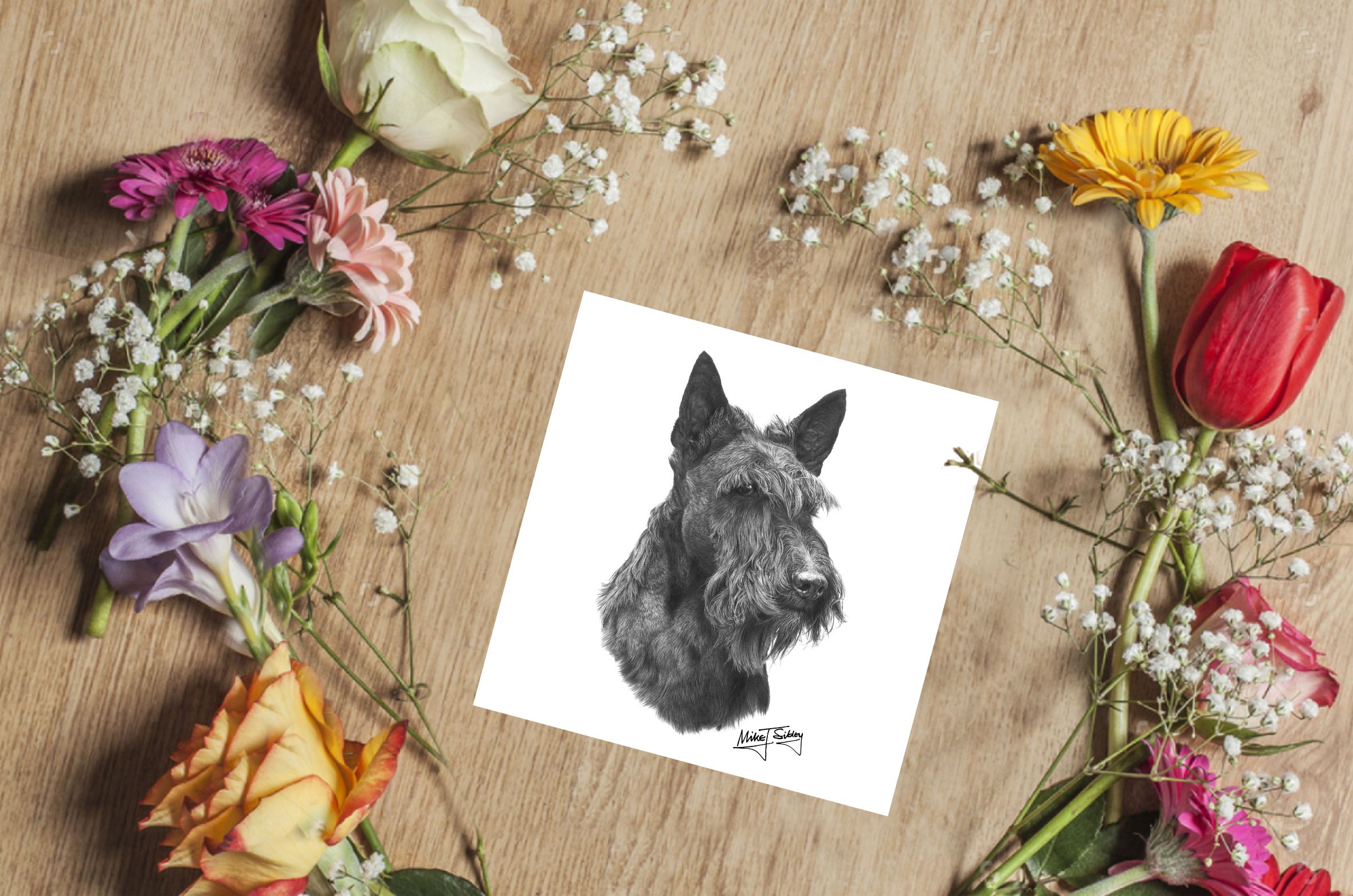 Mike Sibley Design Scottie Greeting Card