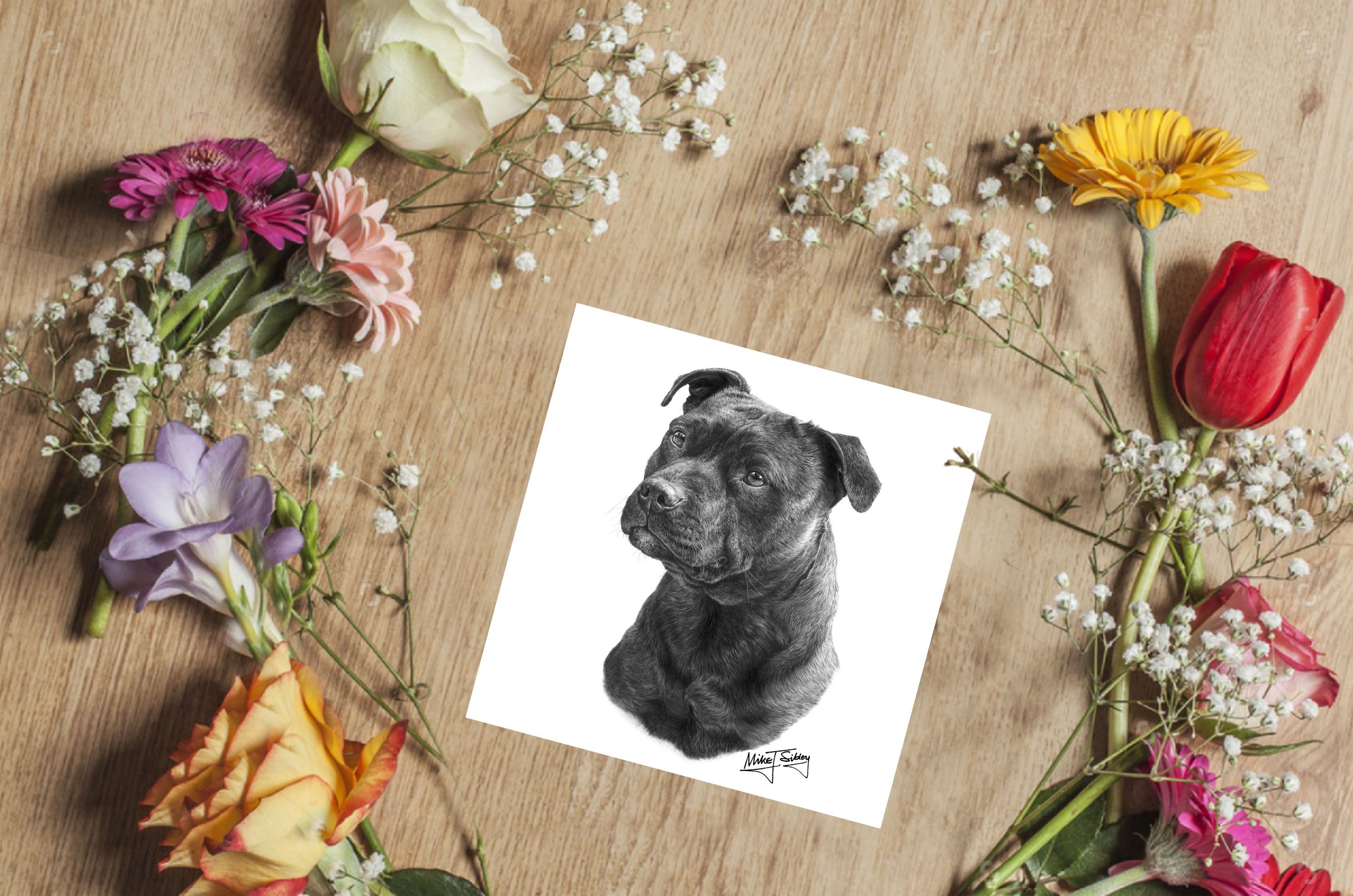 Mike Sibley Design Staffordshire Bull Terrier Greeting Card