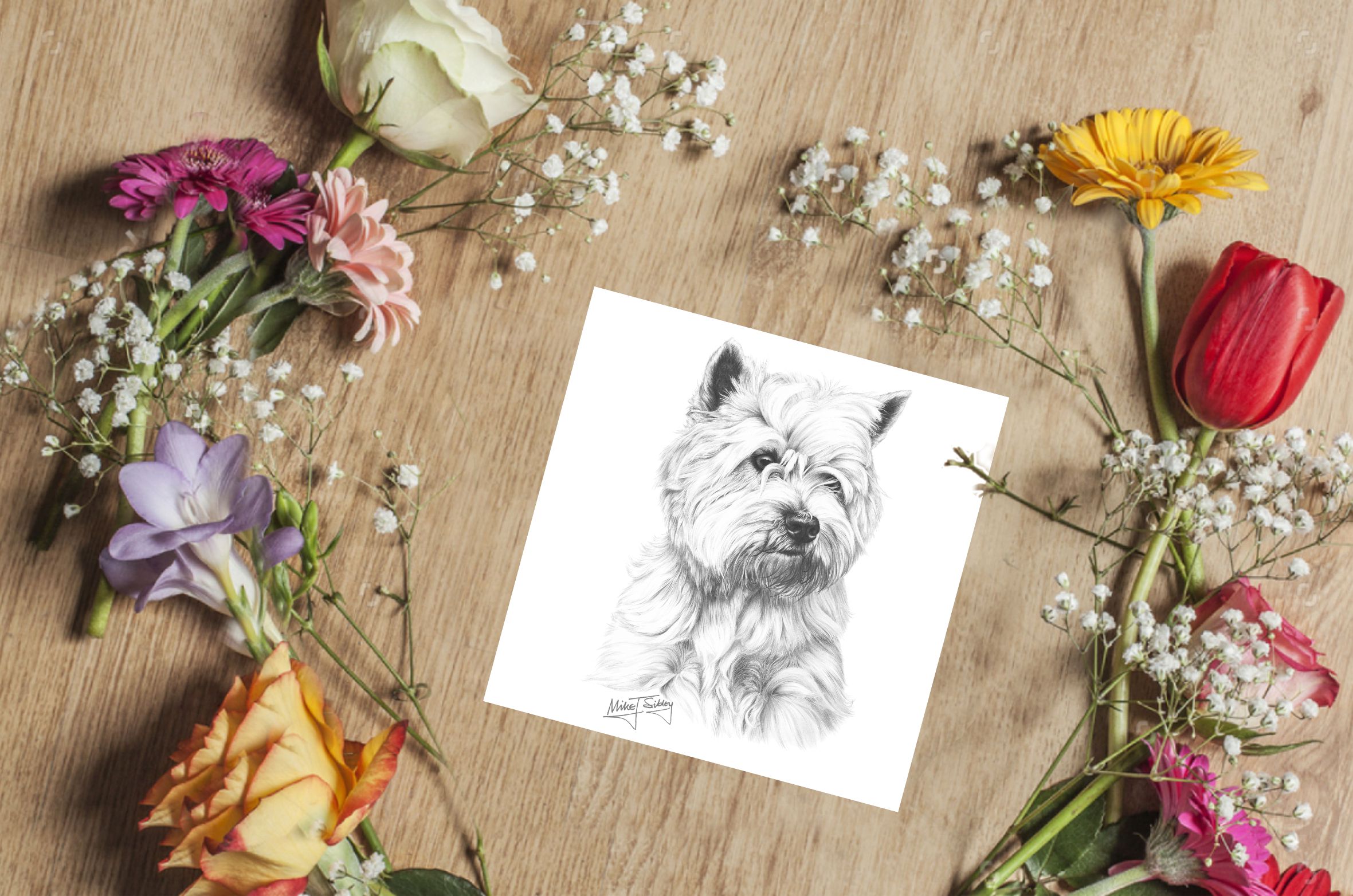 Mike Sibley Design Westie Greeting Card