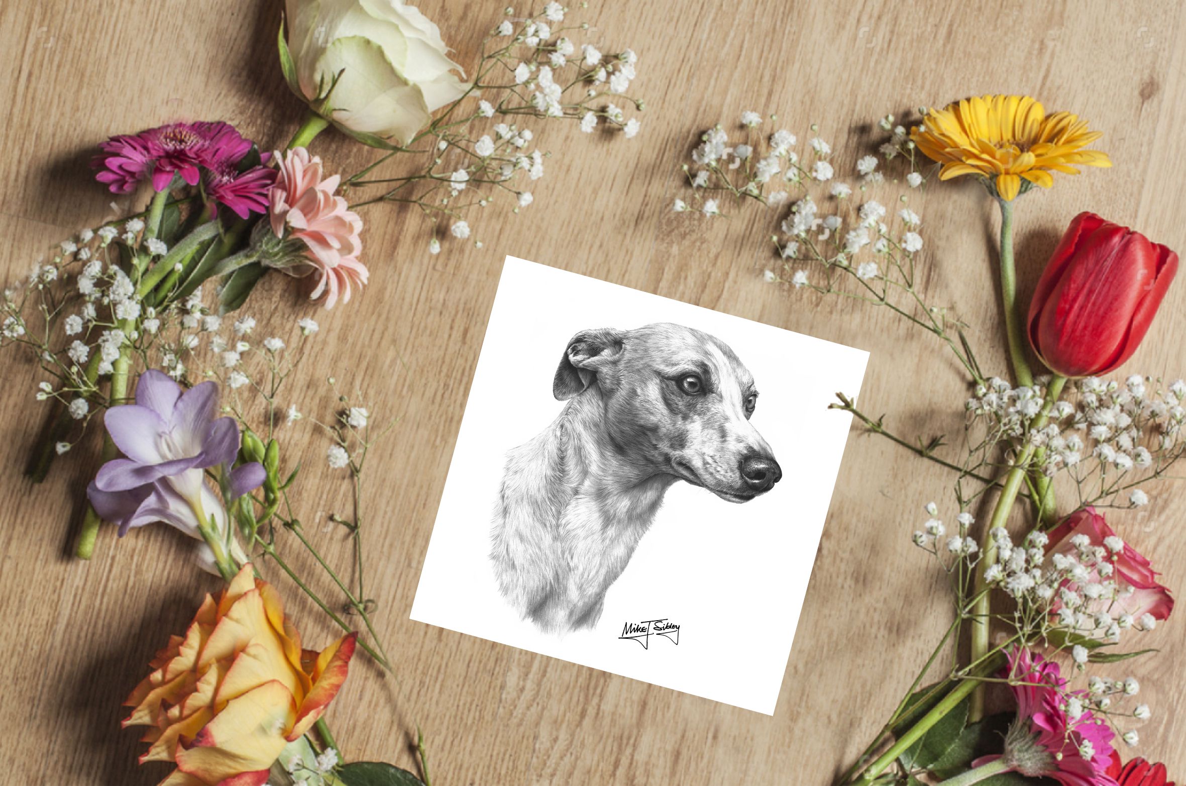 Mike Sibley Design Whippet Greeting Card