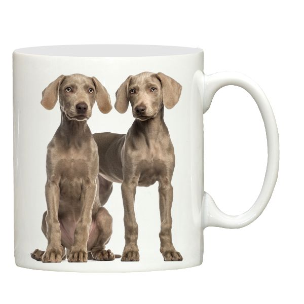 Weimaraner dog print ceramic mug