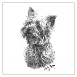 Mike Sibley Design Yorkshire Terrier Greeting Card