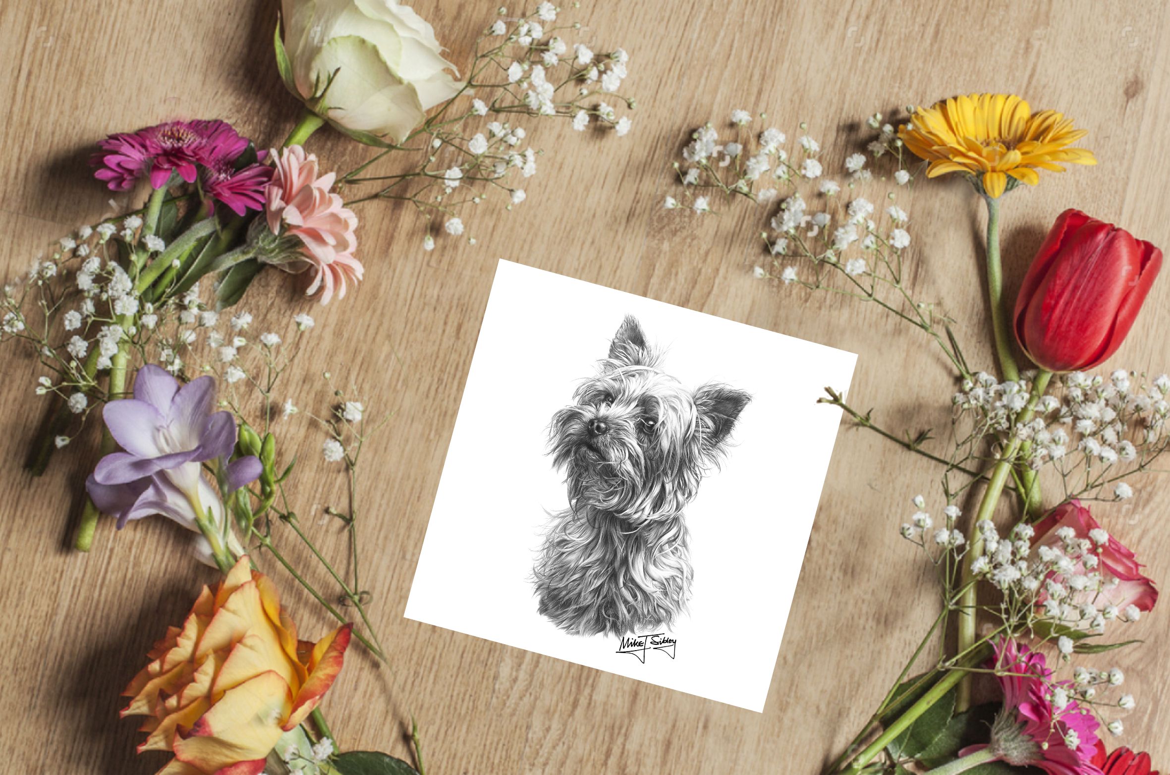 Mike Sibley Yorkshire Terrier Dog Breed Blank Greetings Card for all occasions 