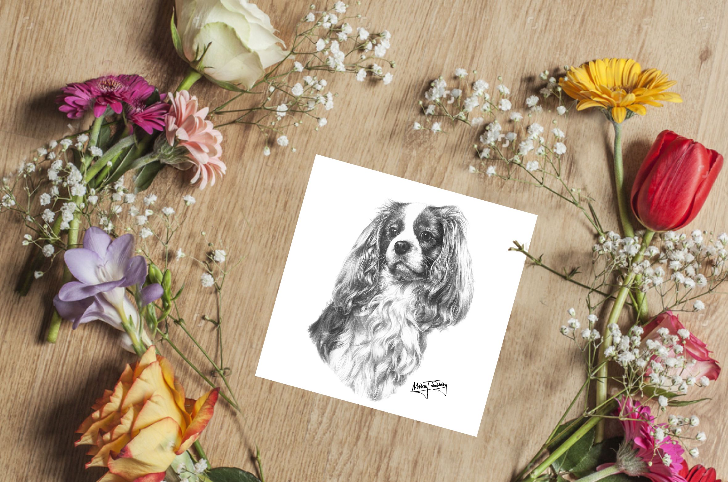Mike Sibley Design Cavalier King Charles Greeting Card